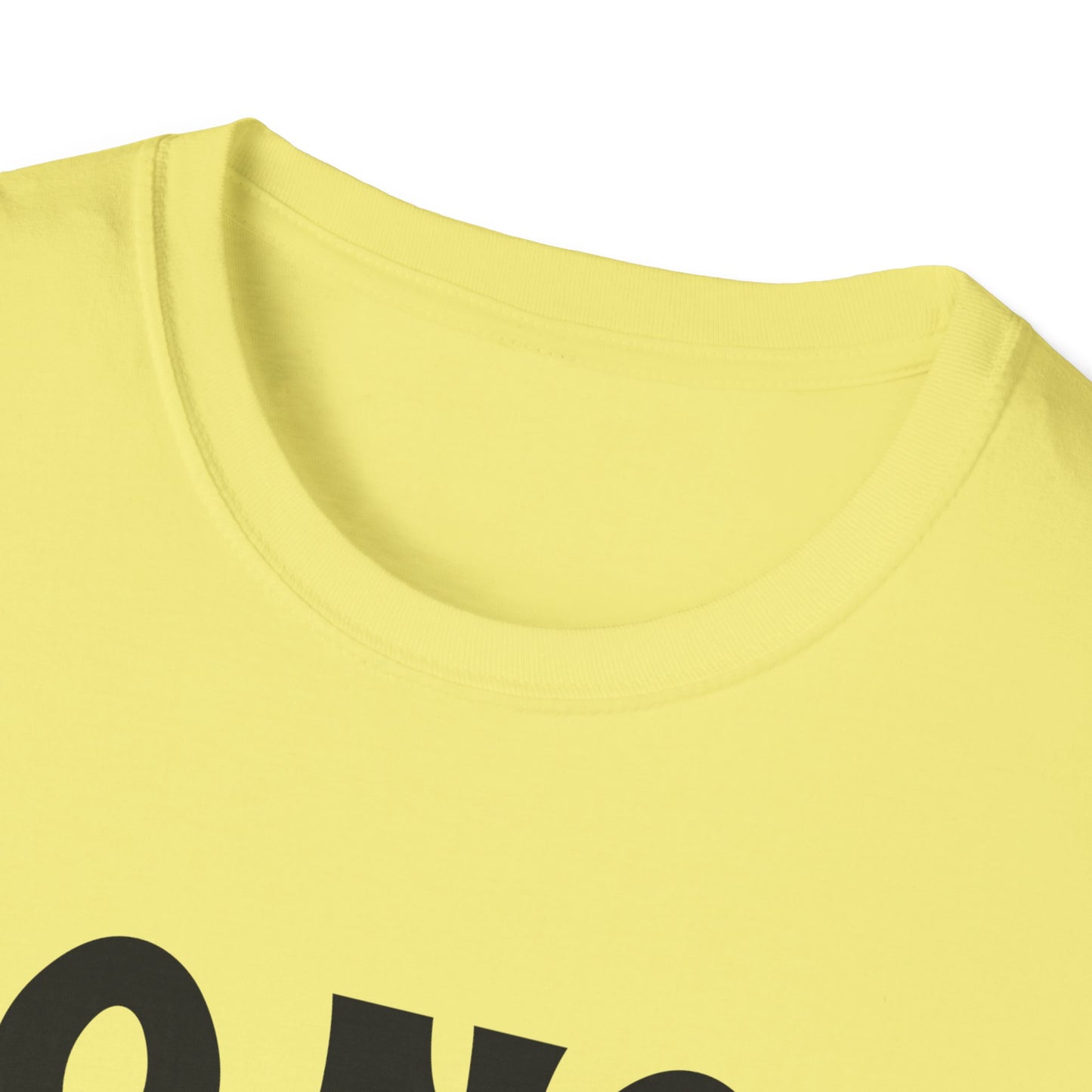 Isaiah 41:10 'Do Not Fear' Inspirational T-Shirt