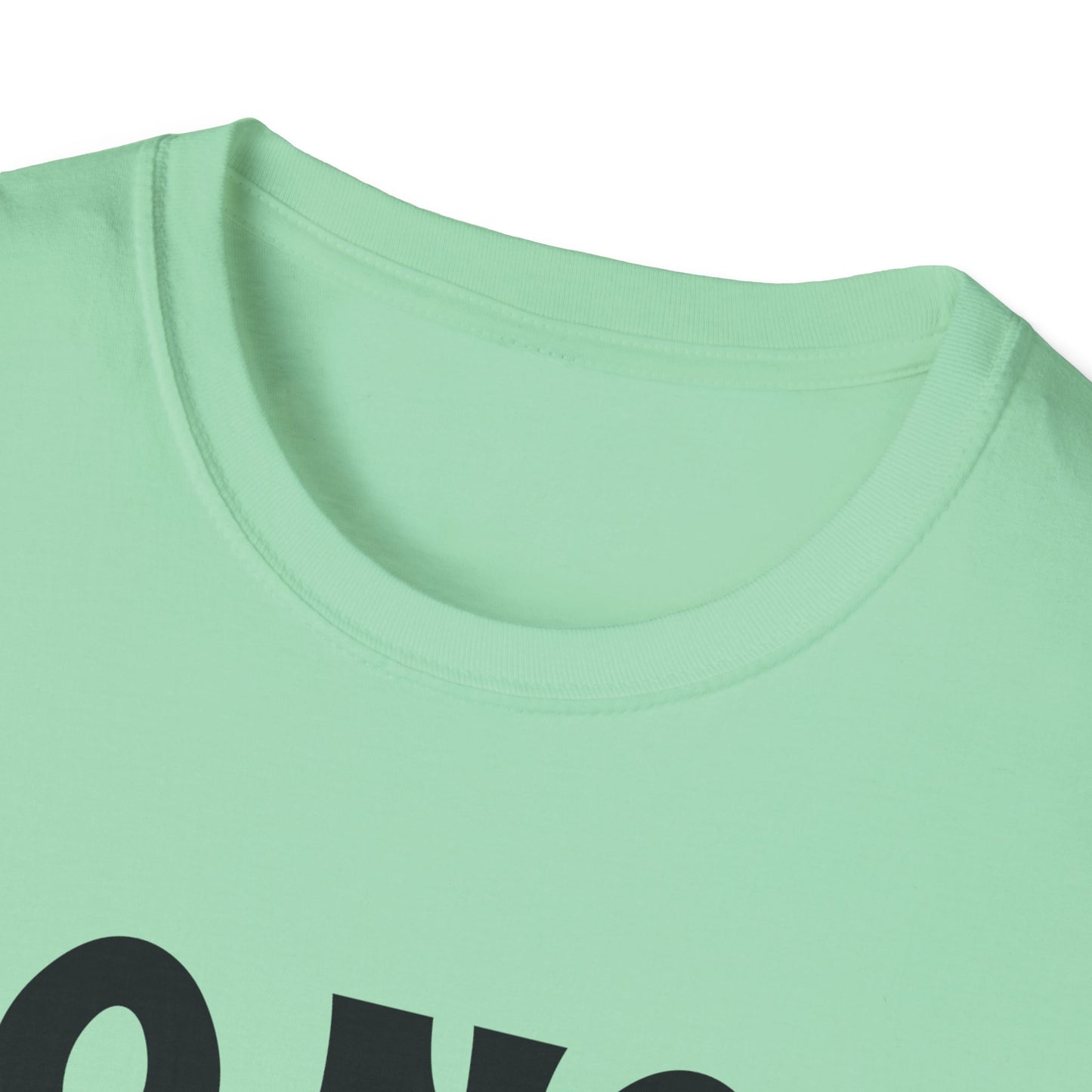 Isaiah 41:10 'Do Not Fear' Inspirational T-Shirt